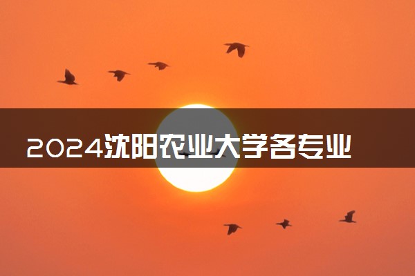 2024沈阳农业大学各专业考研分数线一览表 历年复试线汇总