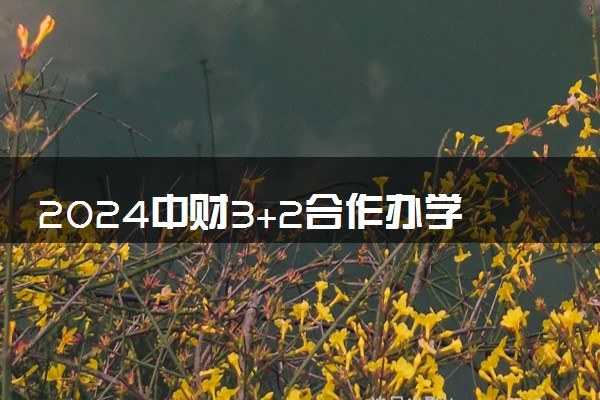 2024中财3+2合作办学好吗 值得读吗