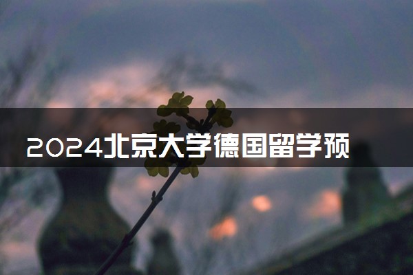 2024北京大学德国留学预科班认可度高吗 值得上吗