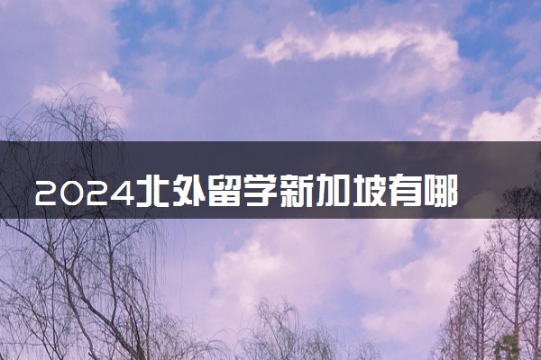 2024北外留学新加坡有哪些项目 有什么留学优势