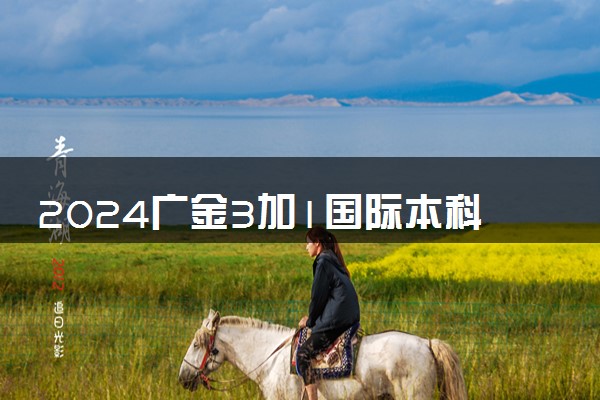 2024广金3加1国际本科含金量如何 回国就业情况分析