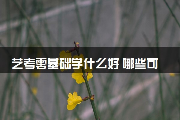 艺考零基础学什么好 哪些可以速成