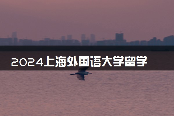 2024上海外国语大学留学专业怎么样 值得读吗