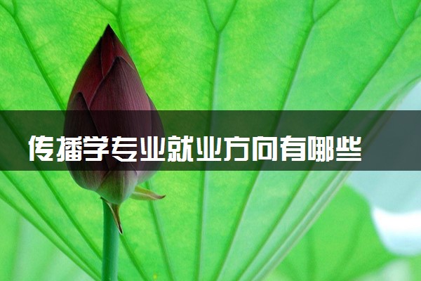 传播学专业就业方向有哪些 就业前景好不好