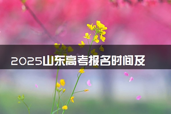 2025山东高考报名时间及手机端报名入口 具体报名步骤