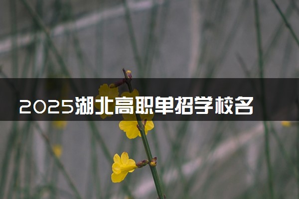 2025湖北高职单招学校名单及排名 有哪些单招院校