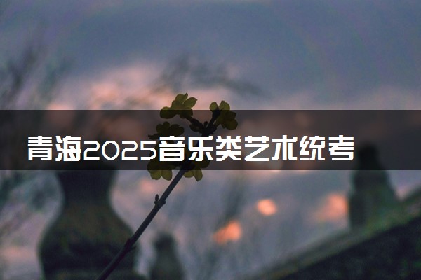 青海2025音乐类艺术统考/联考哪天考试 考完后多久出分