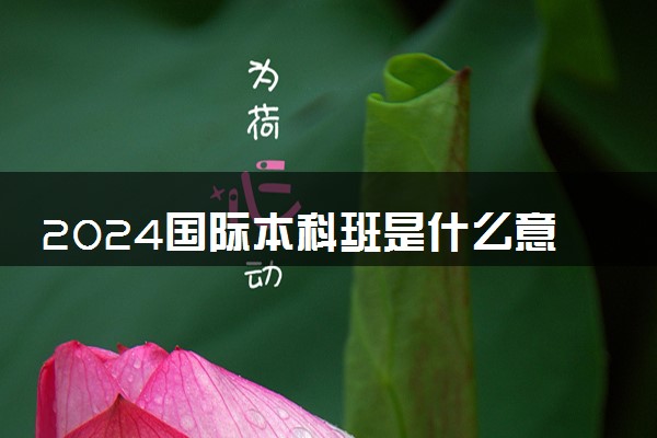 2024国际本科班是什么意思 花钱就能上吗