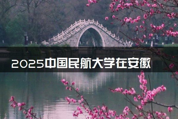 2025中国民航大学在安徽招飞预选初检时间及地点公布