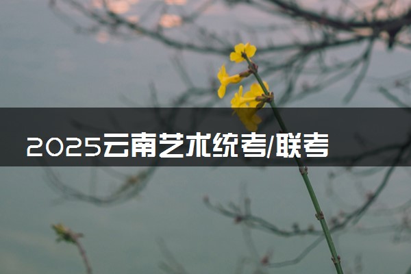 2025云南艺术统考/联考多久能查分 几月几号公布成绩