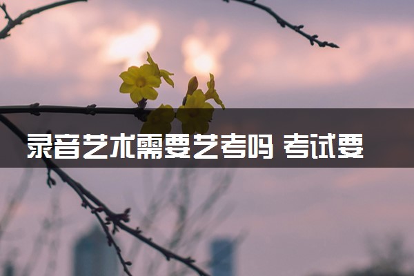 录音艺术需要艺考吗 考试要求是什么