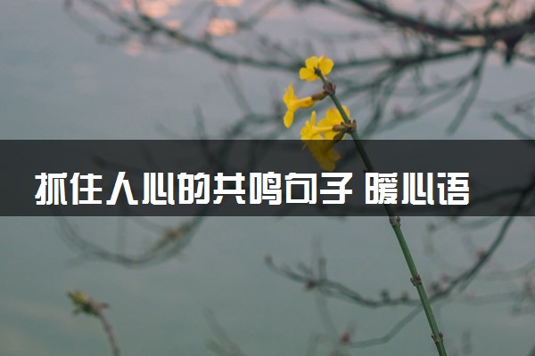 抓住人心的共鸣句子 暖心语句摘抄