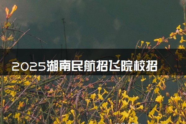 2025湖南民航招飞院校招收飞行学生初检时间 具体几号