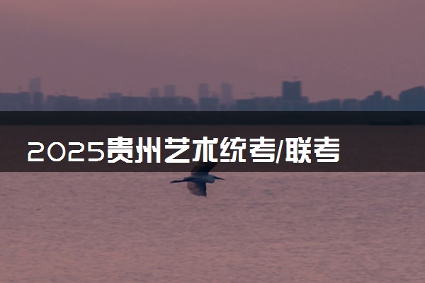 2025贵州艺术统考/联考成绩一般多久公布 哪天查分