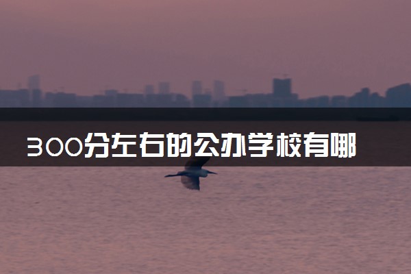 300分左右的公办学校有哪些 如何选学校