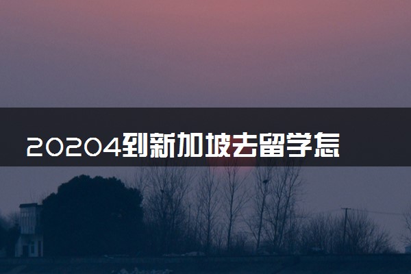 20204到新加坡去留学怎么样 要多少钱