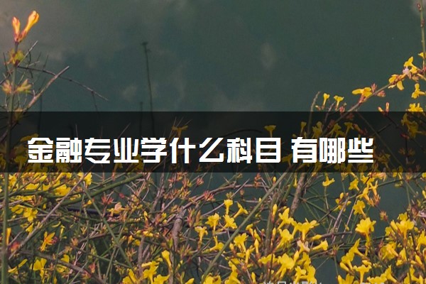 金融专业学什么科目 有哪些必修课程