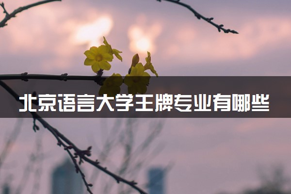 北京语言大学王牌专业有哪些 比较好的专业推荐