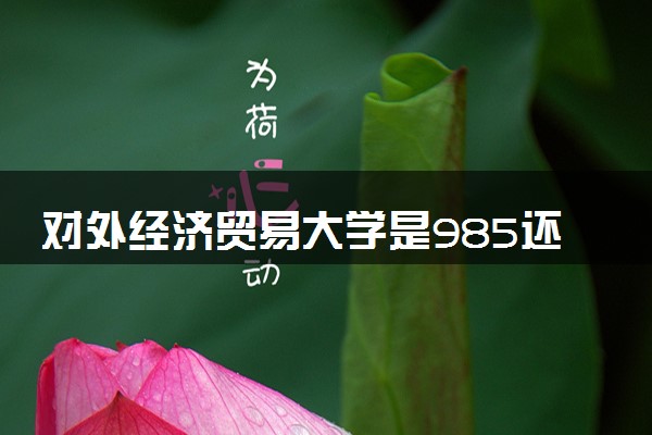 对外经济贸易大学是985还是211 推荐报考吗