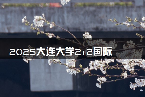 2025大连大学2+2国际本科招生简章