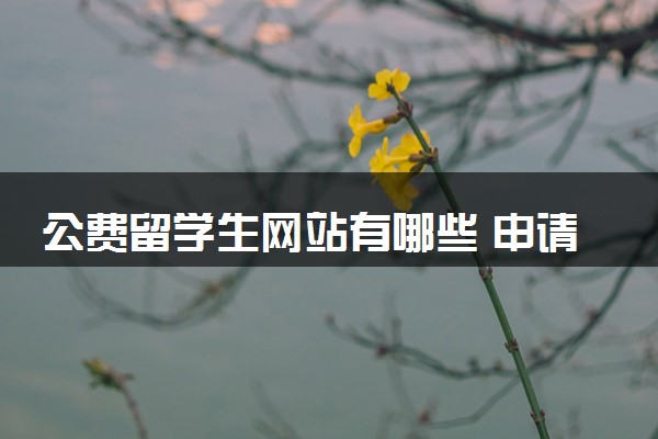 公费留学生网站有哪些 申请条件是什么