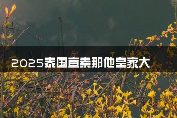 2025泰国宣素那他皇家大学学费多少钱 怎么缴纳