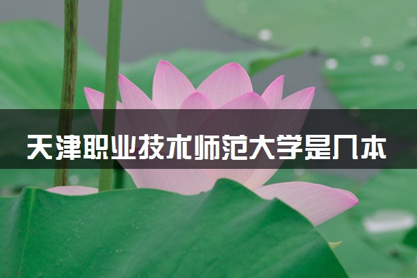 天津职业技术师范大学是几本 学校怎么样