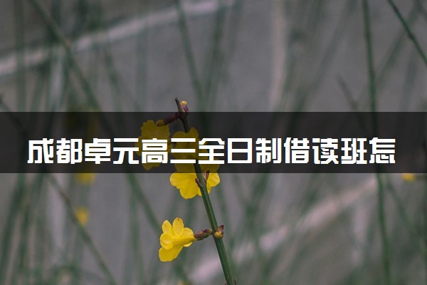 成都卓元高三全日制借读班怎么样