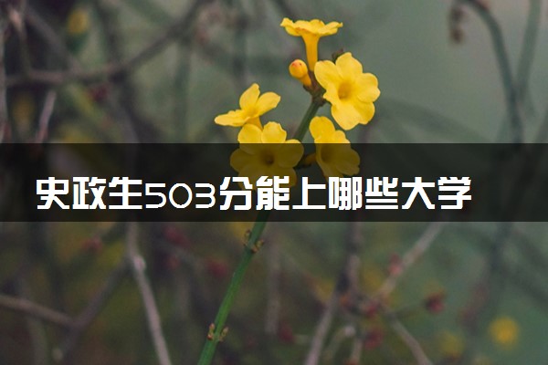 史政生503分能上哪些大学 可报考的学校推荐