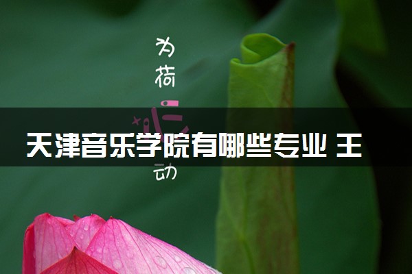 天津音乐学院有哪些专业 王牌专业推荐