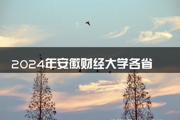 2024年安徽财经大学各省最低录取分数线