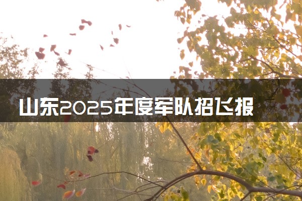 山东2025年度军队招飞报名流程 要满足哪些条件