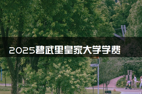 2025碧武里皇家大学学费一年多少钱 有奖学金吗