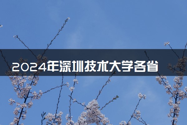 2024年深圳技术大学各省最低录取分数线