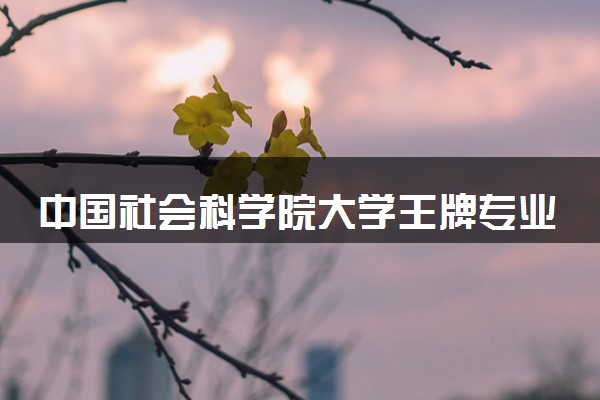 中国社会科学院大学王牌专业有哪些 比较好的专业推荐