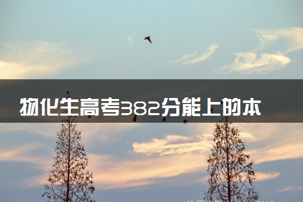 物化生高考382分能上的本科大学 志愿填报策略是什么