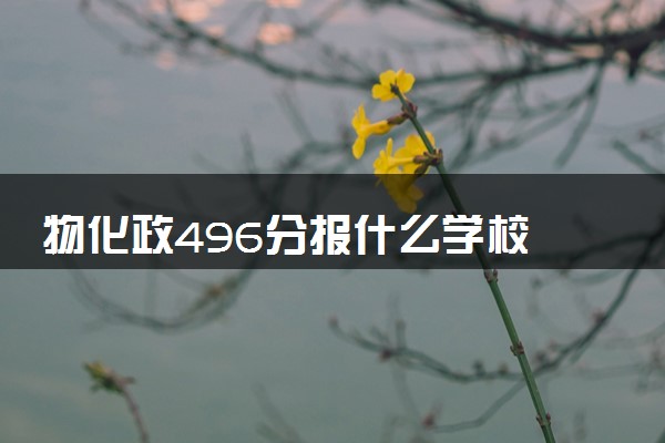 物化政496分报什么学校 学什么专业比较好