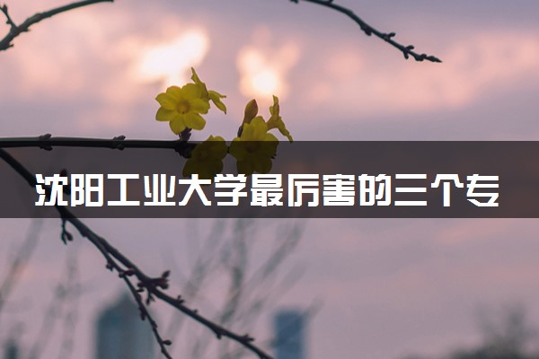 沈阳工业大学最厉害的三个专业 哪些专业好就业