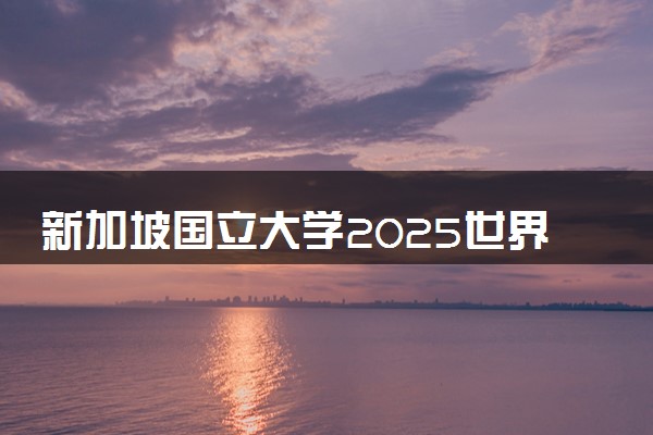 新加坡国立大学2025世界排名 在中国的认可度