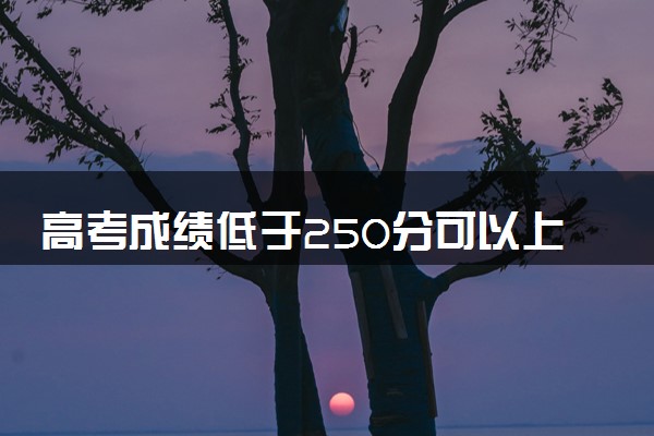 高考成绩低于250分可以上大学吗 能报哪些院校