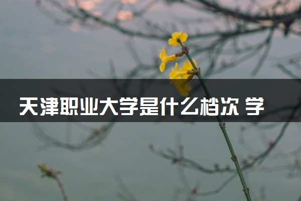 天津职业大学是什么档次 学校怎么样