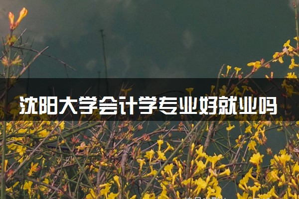 沈阳大学会计学专业好就业吗 值得读吗