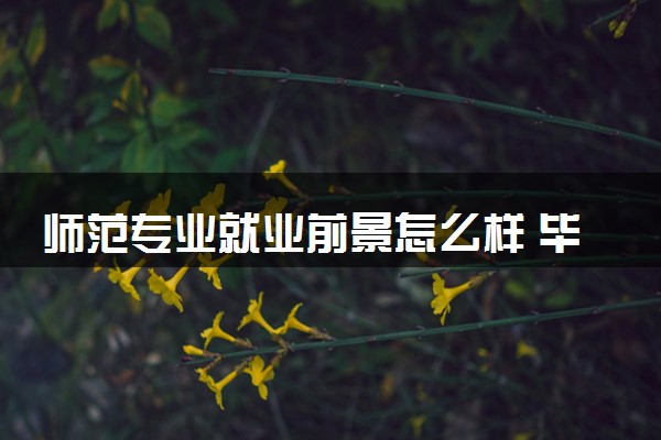 师范专业就业前景怎么样 毕业就能当老师吗