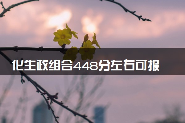 化生政组合448分左右可报哪些大学 怎么填报志愿