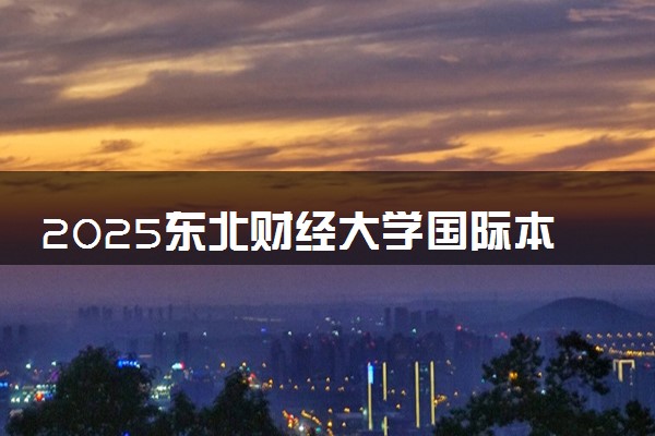 2025东北财经大学国际本科项目招生简章