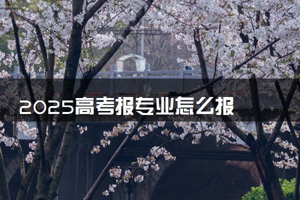 2025高考报专业怎么报 有哪些填报技巧