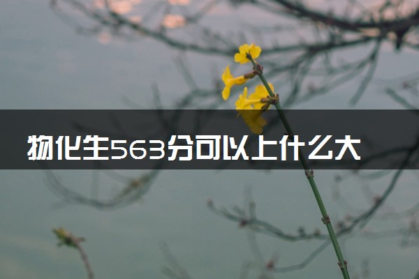 物化生563分可以上什么大学 如何选择报考院校