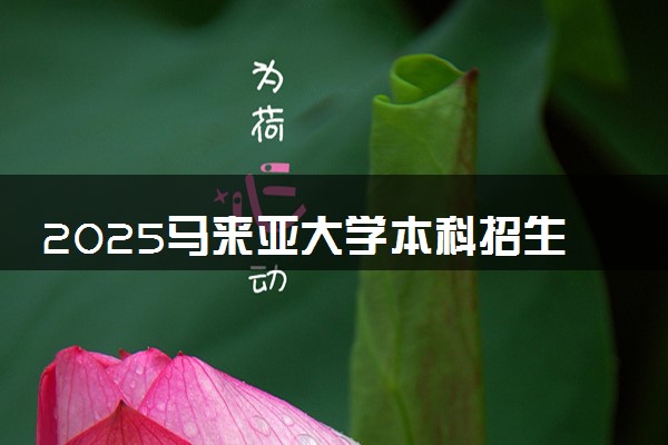 2025马来亚大学本科招生有哪些专业？