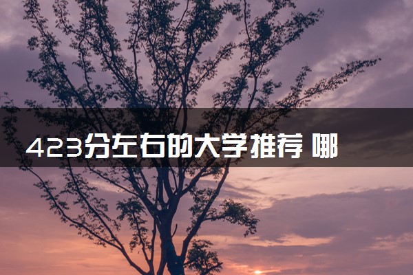 423分左右的大学推荐 哪些学校值得报考