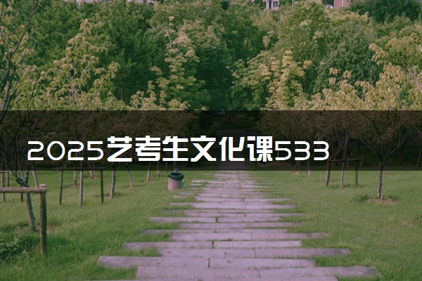 2025艺考生文化课533分能上长春大学吗